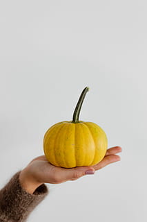 women, hands, sweater, holding, pumpkin, female, person, yellow, autumn, fall, orange, vegetable, halloween, studio shot, hand, food and drink, human hand, human body part, food, healthy eating, indoors, wellbeing, one person, fruit, freshness, close-up, copy space, healthy lifestyle, single object, white background, ripe, 4K