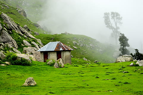 Indie, triund, mlha, hora, rostlina, scenics - příroda, architektura, Příroda, krása v přírodě, klid, klidné scény, zelená barva, přistát, tráva, mimoměstské scény, den, stavba, nikdo, krajina, životní prostředí, Skála, venku, 5K, CC0, veřejná doména, bez autorských práv