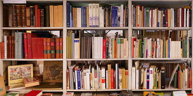 uddannelse, Læs, lære, Bestil, hylde, bogreol, bibliotek, viden, undersøgelse, alfabet, bogstabel, litteratur, meddelelse, abc, skole, offentliggørelse, stor gruppe af objekter, overflod, i en række, fuld ramme, ingen mennesker, indendørs, variation, bestille, valg, arrangement, visdom, baggrunde, læring, lærebog, 4K, CC0, offentligt domæne, royaltyfrie