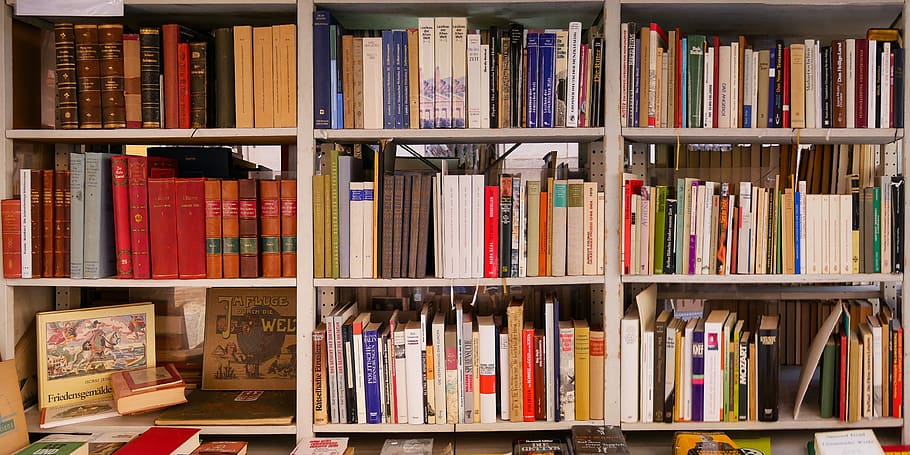 formació, llegir, aprendre, educació, llibre, prestatge, prestatge per a llibres, biblioteca, coneixement, estudiar, alfabet, pila de llibres, literatura, comunicació, abc, escola, publicació, gran grup d'objectes, abundància, en fila, marc complet, cap gent, a l'interior, variació, ordre, elecció, arranjament, saviesa, fons, aprenentatge, llibre de text, 4K