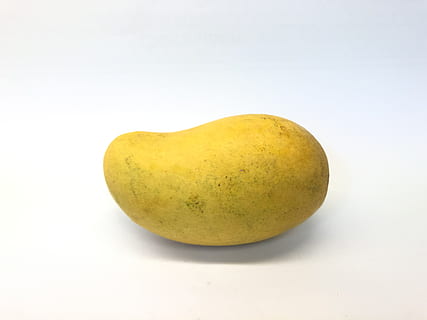 mango giallo, pianta, Mango, cibo, frutta, 17700 dr. Sereno, stati Uniti, morgan hill, Ataulfo, verdura, papaia, Patata, polline, Noce, Noce di cocco, fiorire, fiore, girasole, lampone, ciliegia, vene, cibo e bevande, mangiare sano, freschezza, singolo oggetto, girato in studio, benessere, ritagliare, in casa, giallo, nessuno, avvicinamento, sfondo bianco, Pera, lunghezza intera, maturo, frutto di mango, patata cruda, cibo vegetariano, 4K, CC0, dominio pubblico, privo di copyright