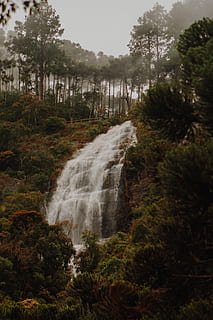 fotografia de naturezas, cachoeiras, cascata, luz do dia, meio Ambiente, outono, fluxo, névoa, floresta, panorama, movimento, montanha, natureza, ao ar livre, parque, rio, cênico, corrente, viagem, arvores, agua, madeira, plantar, árvore, beleza na natureza, scenics - natureza, terra, crescimento, ninguém, tranquilidade, dia, céu, cena tranquila, cena não urbana, água corrente, fluindo, floresta tropical, poder na natureza, 4K, CC0, domínio público, royalty free