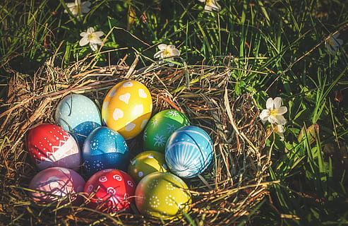 Ostern, Ostereier, Ei, bunt, farbig, Farbe, Frühling, Osterthema, osterkorb, Grußkarte, Korb, Osternest, Ostergruß, Zoll, Tradition, Wald, Wiese, osterkarte, Osterdekoration, Ostergrüße, Osterei, Feier, mehrfarbig, Urlaub, Lebensmittel, Natur, keine Leute, High Angle View, Religion, Essen und Trinken, Pflanze, Gras, Ferienveranstaltung, Nahansicht, Dekoration, draußen, 5K, CC0, gemeinfrei, lizenzfrei