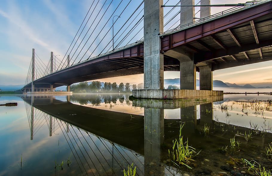 ponte durante il giorno, porto coquitlam, Canada, Pitt River Bridge, acqua, all'aperto, stagno, terra, palude, costruzione, ponte, cavalcavia, modo, strada, panchina, flora, pianta, muschio, vegetazione, erba, connessione, struttura costruita, ponte - struttura fatta dall'uomo, riflessione, architettura, mezzi di trasporto, ingegneria, cielo, natura, fiume, lungomare, nuvola - cielo, giorno, destinazioni di viaggio, esterno dell'edificio, lungo, 2K