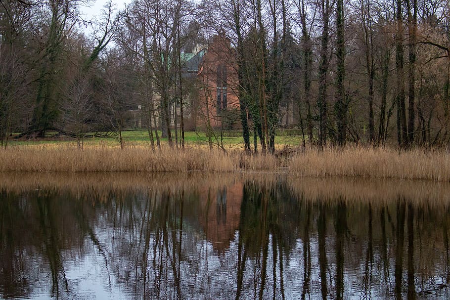 krajina, kostel, odraz, architektura, zimní, kaple, Příroda, voda, jezero, rybník, rákosí, vesnice, náboženství, strom, klid, rostlina, les, krása v přírodě, přistát, klidné scény, nábřeží, nikdo, scenics - příroda, růst, mimoměstské scény, den, holý strom, idylický, venku, bažina, 5K