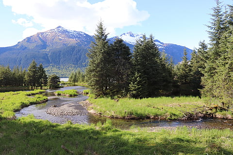 copaci, Munte, curent, râu, verde, iarbă, zăpadă, alaska, plantă, apă, copac, frumusețe în natură, scenice - natura, liniște, o scenă liniștită, cer, lac, creştere, natură, zi, scenă non-urbană, nici o persoana, Culoarea verde, reflecţie, peisaj, în aer liber, 5K, CC0, domeniu public, fără drepturi de autor