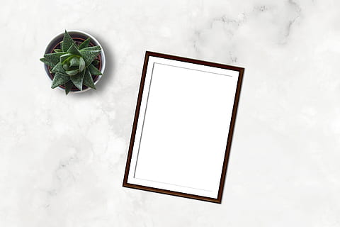 marmor, ramme, mockup, flatlay, plante, e-handel, blank, papir, markedsføring, forretning, saftige, skrivebord, bord, hvidt ark, portefølje, butik, tegning, maleri, layout, digital kunst, digital, plakat, billede, instagram, blog, indendørs, kopiere plads, ingen mennesker, hvid farve, natur, grøn farve, studio skud, blad, plante del, teknologi, billedramme, stilleben, direkte over, høj vinkel visning, mad og drikke, meddelelse, forbindelse, 4K, CC0, offentligt domæne, royaltyfrie