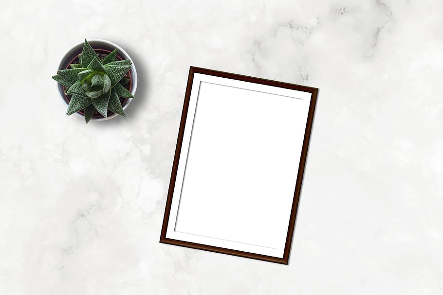 marmor, ramme, mockup, flatlay, plante, e-handel, blank, papir, markedsføring, forretning, saftige, skrivebord, bord, hvidt ark, portefølje, butik, tegning, maleri, layout, digital kunst, digital, plakat, billede, instagram, blog, indendørs, kopiere plads, ingen mennesker, hvid farve, natur, grøn farve, studio skud, blad, plante del, teknologi, billedramme, stilleben, direkte over, høj vinkel visning, mad og drikke, meddelelse, forbindelse, 4K
