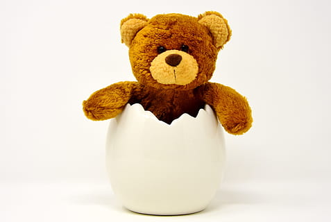 ou de Paște, ceramică, eggshell, ursuleți, Paști, amuzant, drăguţ, jucarie moale, ursi, ursuleț, pluș, animal impaiat, dulce, jucării pentru copii, drăgălaș, Paste Fericit, jucarie de plus, jucărie, studio shot, în interior, copilărie, un singur obiect, reprezentare, fundal alb, reprezentarea animalelor, elimina, moliciune, a închide, natură moartă, animal, mamifer, creativitate, vacanţă, 5K, CC0, domeniu public, fără drepturi de autor