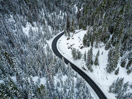 buit, carretera, verd, arbres de fulles, arbre, planta, avet, abies, naturalesa, a l'aire lliure, Estats Units, mccall, conífera, pi, gel, drone, aèria, arbres, muntanyes, hivern, bosc, idaho, fred, neu, temperatura de fred, bellesa a la natura, transport, escenics - natura, cap gent, cobertura, vista d’angle alt, Color blanc, escena no urbana, tranquil·litat, escena tranquil·la, terra, muntanya, clima extrem, muntanya nevada, nevar, 4K, CC0, domini públic, lliure de regalies