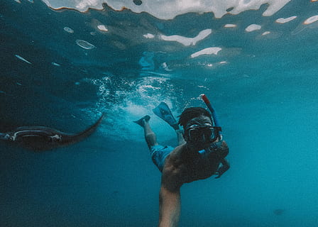 uomo che si tuffa sott'acqua, subacqueo, mare, acqua, avventura, sport acquatico, sport, nuoto, immersioni in subacquea, sottomarino, esplorazione, una persona, attrezzatura subacquea, maschera subacquea, natura, fauna selvatica, animali allo stato selvatico, marino, immersione subacquea, occhiali, lo snorkeling, 2K, CC0, dominio pubblico, privo di copyright