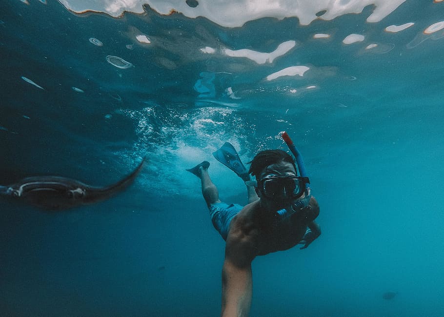 uomo che si tuffa sott'acqua, subacqueo, mare, acqua, avventura, sport acquatico, sport, nuoto, immersioni in subacquea, sottomarino, esplorazione, una persona, attrezzatura subacquea, maschera subacquea, natura, fauna selvatica, animali allo stato selvatico, marino, immersione subacquea, occhiali, lo snorkeling, 2K