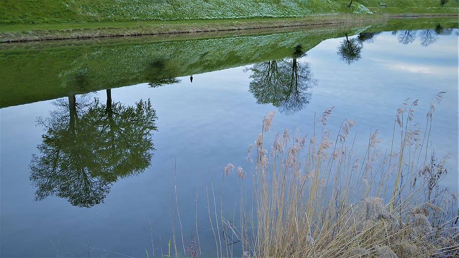 Danmark, Hamlet, træer, afspejling, sø, vand, plante, ro, skønhed i naturen, natur, træ, ingen mennesker, vækst, rolig scene, græs, dag, scenics - natur, høj vinkel visning, grøn farve, udendørs, havnefronten, ikke-urbane scene, 4K