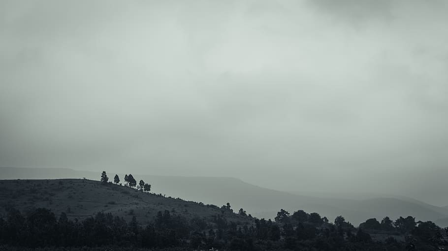 Índia, odisha, cel, muntanya, bellesa a la natura, arbre, escena tranquil·la, escenics - natura, tranquil·litat, naturalesa, boira, planta, persones reals, terra, paisatge, medi ambient, núvol - cel, a l'aire lliure, escena no urbana, silueta, persona irreconeixible, 5K