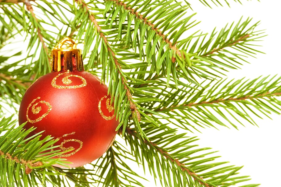 fons, pilota, bauble, pilotes, baubles, celebració, Nadal, , decoració, festa, alegre, ornament, esfera, vibrant, yule, arbre, decoració de Nadal, adorn de Nadal, arbre de Nadal, planta, branca, vacances - esdeveniment, primer pla, naturalesa, esdeveniment, cap gent, vermell, color verd, esdeveniment de celebració, agulla - part de la planta, ornamentat, pi, arbre de coníferes, brillant, 4K