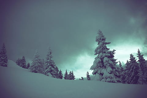 tree, mountain, snow, winter, cloud, sky, night, atmosphere, weather, darkness, aurora, screenshot, atmospheric phenomenon, atmosphere of earth, computer wallpaper, geological phenomenon, plant, beauty in nature, environment, tranquil scene, land, scenics - nature, tranquility, cold temperature, forest, landscape, non-urban scene, nature, no people, cloud - sky, pine tree, woodland, coniferous tree, evergreen tree, 2K, CC0, public domain, royalty free