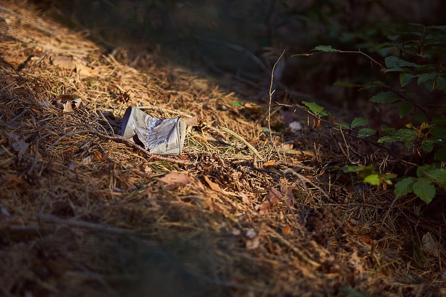 inquinamento, scatola, spazzatura, foresta, natura, ambiente, disposizione, rifiuto, protezione ambientale, rottame, lattina, gettato via, lattina per bevande, terra, carta, pianta, nessuno, messa a fuoco selettiva, campo, giorno, foglia, all'aperto, parte vegetale, erba, albero, la tranquillità, abbandonato, animale, vista dall'alto, rappresentazione, spiegazzato, 5K