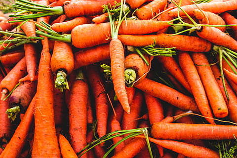 marroquí, tamraght, pastanaga, arrel vegetal, vegetals, menjar, menjar i beguda, frescor, alimentació saludable, benestar, gran grup d'objectes, a la venda, mercat, aliments crus, natura morta, fons, abundància, marc complet, cap gent, color taronja, orgànic, vista d’angle alt, venda, menjar vegetarià, 5K, CC0, domini públic, lliure de regalies