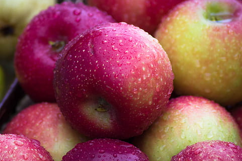 Äpfel, Apfel, Obst, fallen, Ernte, Lebensmittel, Essen und Trinken, gesundes Essen, Wohlbefinden, Frische, rot, Nahansicht, Vollbild, keine Leute, Hintergründe, Apfel - Frucht, große gruppe von gegenständen, Gruppe von Objekten, organisch, Wahl, Stillleben, drinnen, reif, Variation, vegetarisches Essen, 5K, CC0, gemeinfrei, lizenzfrei