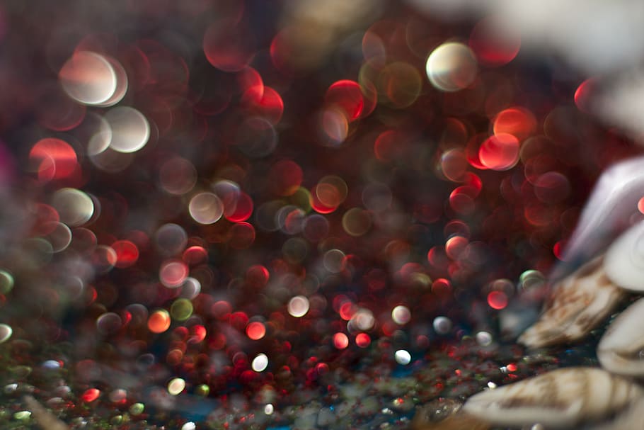 macro, tancar, insecte, fulles, bonic, jardí, vermell, sim, brillar, defocated, il·luminat, cap gent, celebració, nit, resum, Nadal, moviment, fons, flare de la lent, multicolor, decoració, brillant, primer pla, patró, forma geomètrica, festa, cercle, llum - fenomen natural, decoració de Nadal, llum, fons abstractes, porpra, 4K