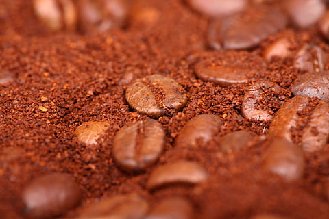 feijão, fundo, macro, padronizar, Comida, bebida, Sombrio, fotografia, monte, mocha, ninguém, agricultura, cópia de, branco, café, Castanho, horizontal, cheio, gourmet, assado, Preto, suave, fechar-se, não alcoólico, abstrato, aromatizado, quadro, Armação, perfumado, textura, semente, grupo, cor, objetos, ingrediente, espaço, imagem, ampla, texturizado, frescura, foco seletivo, açúcar mascavo, sujeira, comida doce, comida e bebida, sobremesa, dentro de casa, close-up extremo, quadro completo, origens, esporte, chocolate, doce, ampliação, tentação, fusão, lanche, 5K, CC0, domínio público, royalty free