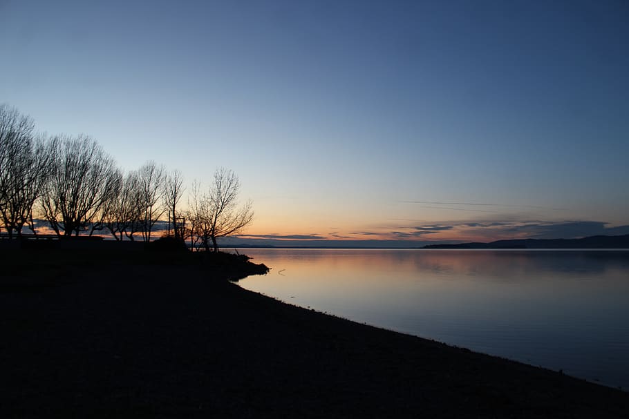 silhouette, alberi, lago, d'oro, tempo, spiaggia, nuvole, alba, sera, cielo serale, paesaggio, luce, natura, tranquillo, calmo, riflessione, panoramico, mare, cielo, sole, tramonto, acqua, scenics - natura, scena tranquilla, la tranquillità, bellezza nella natura, albero, nessuno, pianta, idilliaco, albero nudo, copia spazio, scena non urbana, all'aperto, 5K