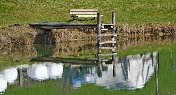 paisaje, naturaleza, estanque, web, banco, caña, hierba, prado, ligero, Dom, sombra, reflejo, madera, pacas de heno, rodillos de plastico, agricultura, verde, descanso, recuperación, silencio, agua, reflexión, lago, nadie, día, planta, tranquilidad, frente al mar, escena tranquila, material de madera, color verde, estructura construida, arquitectura, tierra, belleza en la naturaleza, escena no urbana, al aire libre, 5K, CC0, dominio público, libre de derechos