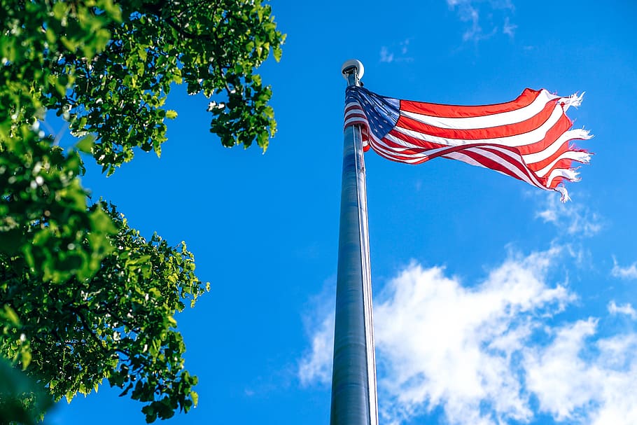 wavy american flag, blue, patriotism, nature, environment, sky, low angle view, flag, tree, waving, day, wind, striped, emotion, no people, plant, pole, red, outdoors, independence, freedom, national icon, 5K