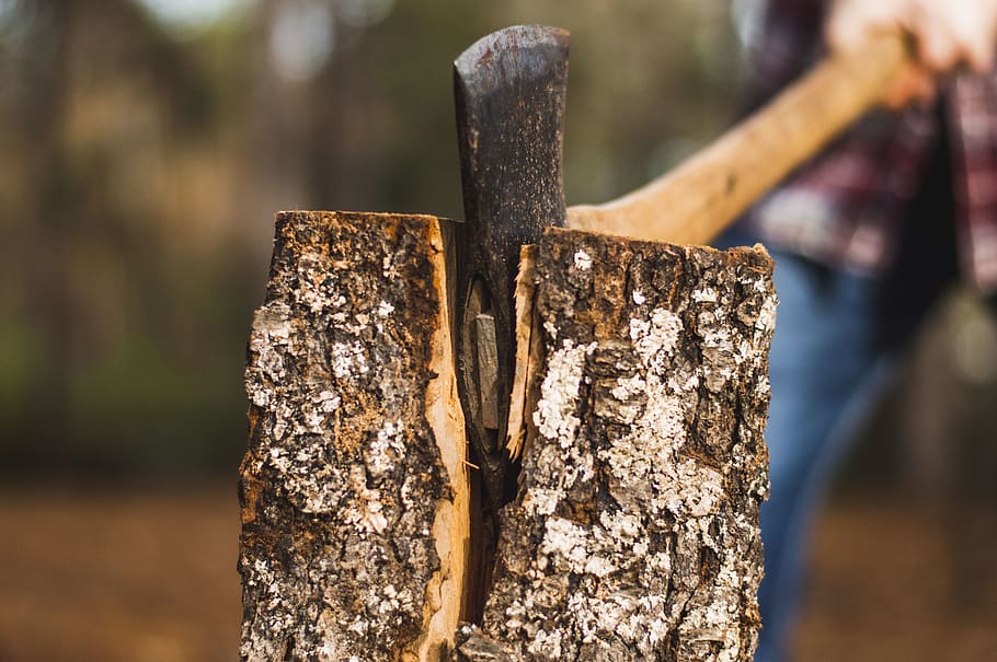 ascia a manico marrone, concentrarsi sulle conoscenze acquisite, legno - materiale, avvicinamento, giorno, ascia, la deforestazione, albero, natura, abbaiare, nessuno, tronco d'albero, legna, strumento di lavoro, all'aperto, industria del legname, metallo, foresta, ceppo, tronco, post in legno, 5K