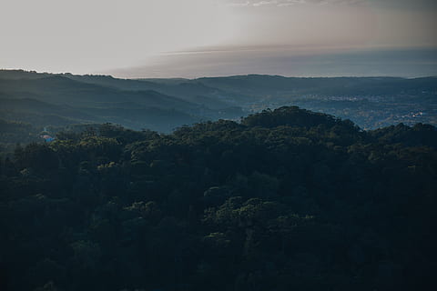 verde, copac, acoperit, insulă, lângă, mare, nori, lumina zilei, pădure, peisaj, munţi, natură, pitoresc, cer, copaci, frumusețe în natură, plantă, scenice - natura, liniște, o scenă liniștită, Munte, nici o persoana, creştere, mediu inconjurator, scenă non-urbană, idilic, zi, ceaţă, în aer liber, Culoarea verde, 5K, CC0, domeniu public, fără drepturi de autor