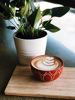pianta a foglia verde, tazza di caffè, tazza, bere, latte macchiato, bevanda, pianta, ceramica, fiorire, fiore, pentola, piattino, bar, ristorante, Araceae, bicchiere, calice, legno duro, legna, composizione floreale, caffè espresso, rinfresco, cibo e bevande, caffè, caffè - bevanda, tavolo, pianta in vaso, foglia, boccale, parte vegetale, natura morta, cappuccino, bevanda spumosa, bevanda calda, in casa, schiuma art, freschezza, nessuno, vasellame, bevanda analcolica, pianta della casa, 4K, CC0, dominio pubblico, privo di copyright