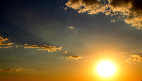 fotografía de la hora dorada, retroiluminado, brillante, nube, color, amanecer, bandada, cielo, ligero, verano, Dom, puesta de sol, clima, nube - cielo, belleza en la naturaleza, paisajes - naturaleza, naturaleza, vista de ángulo bajo, color naranja, nadie, tranquilidad, luz del sol, idílico, pájaro, escena tranquila, volador, vertebrado, grupo de animales, temas de animales, gran grupo de animales, al aire libre, meteorología, 5K, CC0, dominio público, libre de derechos