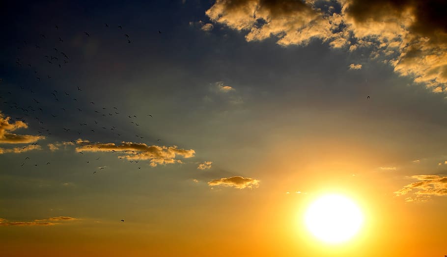 fotografia d’orada daurada, retroil·luminat, brillant, núvol, color, alba, ramat d’ocells, cel, llum, estiu, sol, sortida del sol, posta de sol, temps, núvol - cel, bellesa a la natura, escenics - natura, naturalesa, vista d’angle baix, color taronja, cap gent, tranquil·litat, llum solar, idíl·lic, ocell, escena tranquil·la, volant, vertebrats, grup d’animals, temes d'animals, gran grup d’animals, a l'aire lliure, meteorologia, 5K