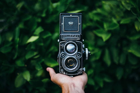 årgang, sort, rolleiflex kamera, kamera, hånd, grøn, træ, film, ansel adam, tysk, dobbelt objektiv refleks, holde, fotografering, udstyr, gammel, forår, hipster, humørsyg, TLR, Rolleiflex, ROLLEI, kamera - fotografisk udstyr, teknologi, retro stylet, sort farve, gammeldags, fotografering temaer, enkelt objekt, fotograf, objektiv - optisk instrument, baggrunde, hobbyer, fotografere, bedrift, herrer, 4K, CC0, offentligt domæne, royaltyfrie