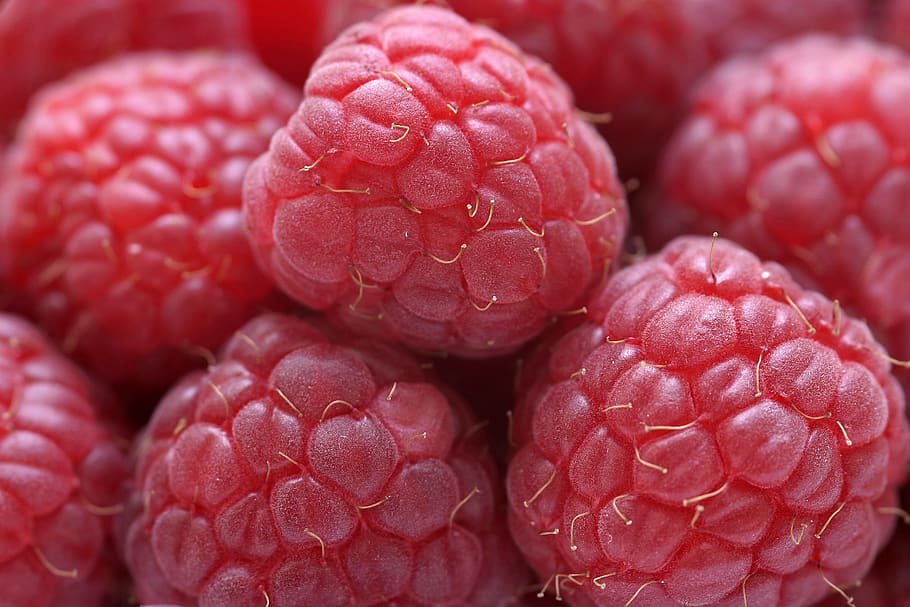 zmeură, fruct, roșu, alimente, nutriție, a închide, mancare si bautura, mâncat sănătos, bunăstare, boabe de fructe, prospeţime, nici o persoana, cadru complet, fundaluri, grup mare de obiecte, natură moartă, grup de obiecte, stil de viata sanatos, copt, în interior, antioxidant, diete, lychee, 2K