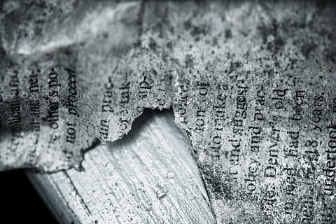 Buchseite Hintergrundbild, dokumentieren, Jahrgang, selektiver Fokus, keine Leute, texturiert, Nahansicht, Holz - Material, Tag, Natur, Pflanze, draußen, Muster, Wachstum, Baumstamm, Baum, Fokus auf den Vordergrund, Kofferraum, Holz, kalte Temperatur, Winter, Rau, Borke, Flechte, 4K, CC0, gemeinfrei, lizenzfrei
