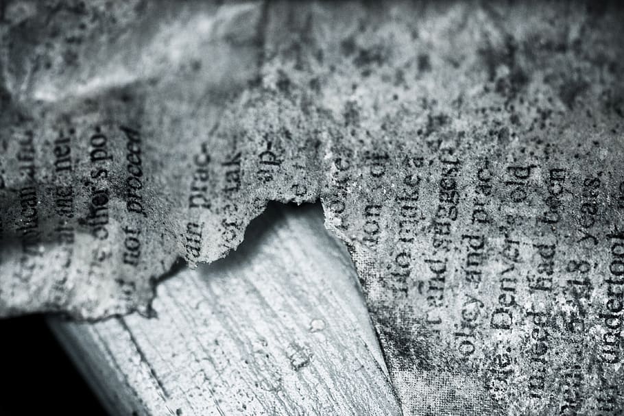 Buchseite Hintergrundbild, dokumentieren, Jahrgang, selektiver Fokus, keine Leute, texturiert, Nahansicht, Holz - Material, Tag, Natur, Pflanze, draußen, Muster, Wachstum, Baumstamm, Baum, Fokus auf den Vordergrund, Kofferraum, Holz, kalte Temperatur, Winter, Rau, Borke, Flechte, 4K