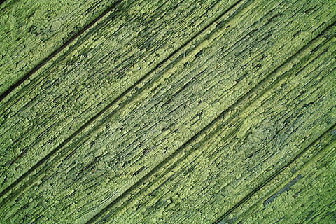 asse di legno verde, sfondo, avvicinamento, costruzione, design, sporco, vuoto, verde, legno duro, ceppo, modello, ruvido, rustico, struttura, parete, legna, di legno, strutturato, sfondi, fotogramma intero, colore verde, legno - materiale, nessuno, tavola, giorno, a strisce, all'aperto, natura, modello naturale, intemperie, pavimentazione, pianta, ripetizione, venatura del legno, livello di superficie, effetto strutturato, 5K, CC0, dominio pubblico, privo di copyright