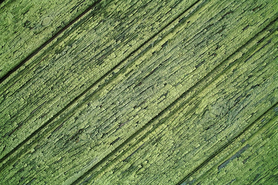 tauló de fusta verda, fons, primer pla, construcció, disseny, brut, buit, verd, fusta dura, registre, patró, aspre, rústic, textura, paret, fons de pantalla, fusta, marc complet, color verd, material de fusta, cap gent, tauler, dia, ratlles, a l'aire lliure, naturalesa, patró natural, resistent, sòls, planta, repetició, gra de fusta, nivell superficial, efecte texturat, 5K