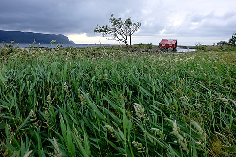 noruega, grotle, cel, núvols, Costa, herba, boathouse, palla, planta, camp, terra, agricultura, núvol - cel, paisatge, cultiu, creixement, escena rural, granja, naturalesa, medi ambient, dia, planta de cereals, transport, color verd, vehicle terrestre, manera de transport, bellesa a la natura, cap gent, a l'aire lliure, 4K, CC0, domini públic, lliure de regalies