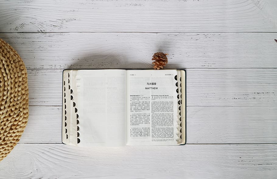 libro bianco, carta, Bibbia, libro, tavolo, pigna, distesa piatta, studia, leggere, religione, fede, santo, cristianesimo, cristiano, imparare, pagine, testo, diario, mattone, piantatore, pianta, nessuno, animale, temi animali, direttamente sopra, legno - materiale, in casa, vista dall'alto, natura morta, Colore bianco, un animale, avvicinamento, fauna selvatica, giorno, pagina, pubblicazione, insetto, Marrone, 4K