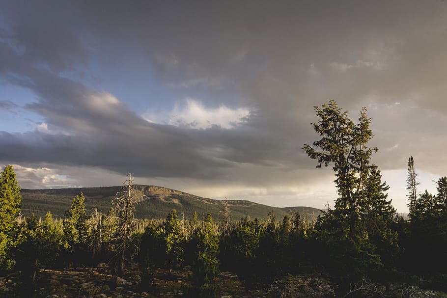 západ slunce, letní, bouřka, hora, les, stromy, goldenhour, vrchol, summitu, divočina, strom, mrak - nebe, rostlina, nebe, krása v přírodě, klidné scény, růst, klid, mimoměstské scény, scenics - příroda, Příroda, nikdo, životní prostředí, přistát, den, idylický, venku, dálkový, jehličnatého stromu, 8K