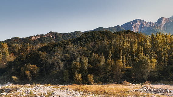 munte în timpul zilei, Munte, copac, scenice - natura, plantă, frumusețe în natură, o scenă liniștită, de munte, cer, liniște, pădure, teren, scenă non-urbană, natură, mediu inconjurator, nici o persoana, peisaj, Brad, conifer, la distanta, cer senin, pini de pădure, în aer liber, copac vesnic verde, formare, 5K, CC0, domeniu public, fără drepturi de autor