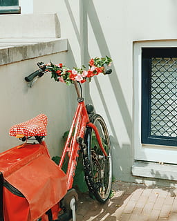 bicicletta rossa, modo di trasporto, veicolo terrestre, esterno dell'edificio, mezzi di trasporto, architettura, struttura costruita, giorno, nessuno, costruzione, stazionario, finestra, bicicletta, caratteristica della parete, Casa, all'aperto, cestino della bicicletta, cestino, parcheggio, viaggio, natura, ruota, 2K, CC0, dominio pubblico, privo di copyright