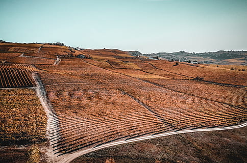 พื้นสีน้ำตาล, หลังคา, nizza monferrato, อิตาลี, sp456, พรม, อาคาร, สถาปัตยกรรม, กลางแจ้ง, ธรรมชาติ, สนามกีฬา, อัฒจันทร์, ชนบท, สนาม, ลาด, หลังคากระเบื้อง, ที่ดิน, ที่พักอาศัย, ทัศนียภาพ, สิ่งแวดล้อม, ภูมิประเทศ, Scenics - ธรรมชาติ, ท้องฟ้า, ความงามในธรรมชาติ, วัน, ฉากที่เงียบสงบ, ไม่มีคน, ความเงียบสงบ, ฉากที่ไม่ใช่ในเมือง, จุดหมายปลายทางการท่องเที่ยว, ฟ้าโปร่ง, ห่างไกล, การท่องเที่ยว, ภูเขา, การเกษตร, ภูมิอากาศ, ภูมิอากาศแห้งแล้ง, 4K, CC0, โดเมนสาธารณะ, ค่าลิขสิทธิ์ฟรี