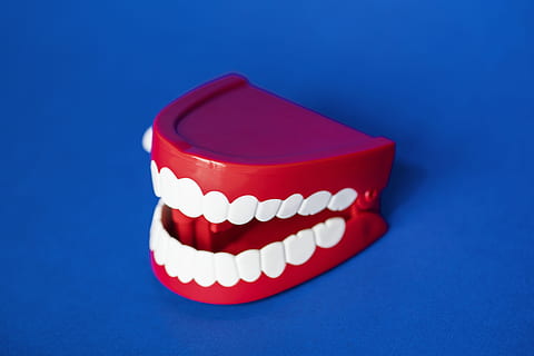 artificial, background, bite, blue, bright, care, chattering, chattering teeth, childish, children, clean, clinic, close up, colorful, crown, dental, dentist, denture, health, hygiene, isolated, jaw, laughing, medical, medicine, colored background, healthcare and medicine, studio shot, blue background, indoors, pill, no people, single object, close-up, dose, white color, dental health, red, high angle view, copy space, still life, 4K