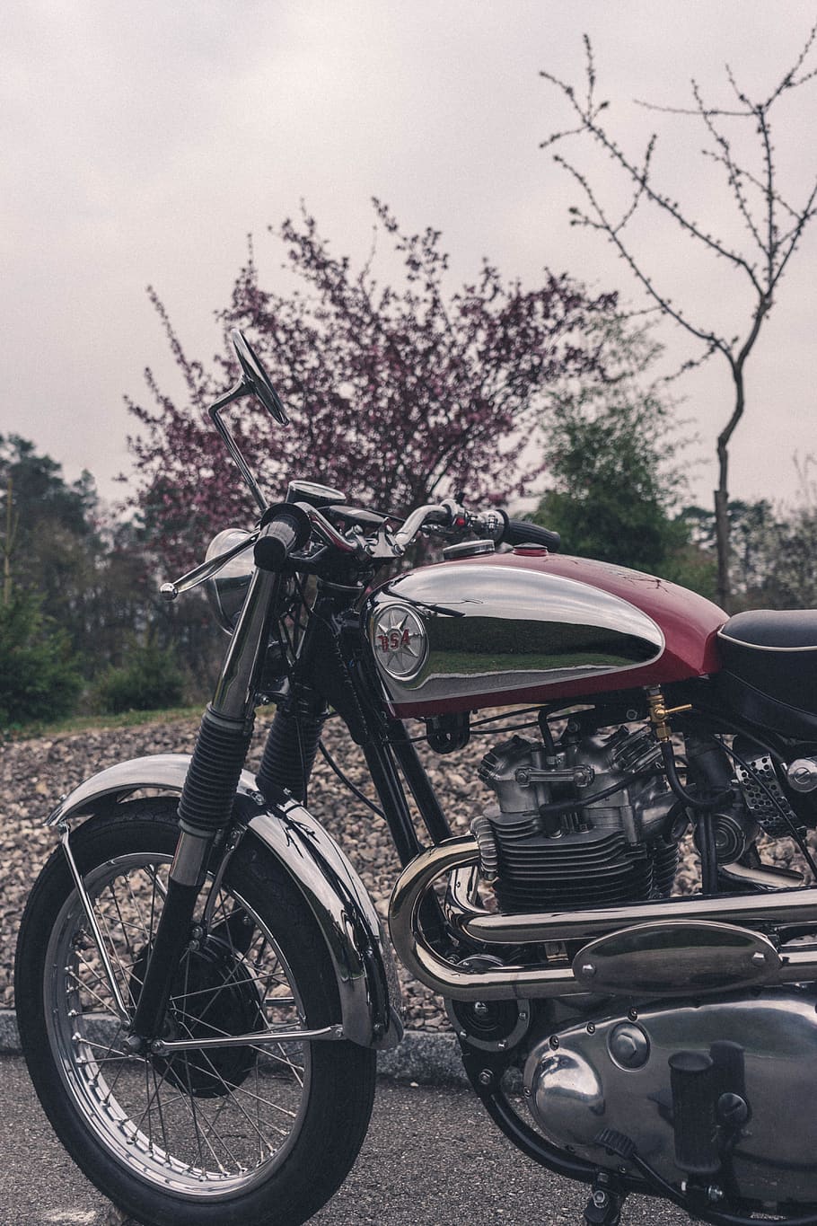 moto nera, mezzi di trasporto, albero, veicolo terrestre, modo di trasporto, stazionario, giorno, pianta, natura, nessuno, bicicletta, cielo, all'aperto, concentrarsi sulle conoscenze acquisite, parcheggio, viaggio, motociclo, campo, terra, cielo sereno, ramo, ruota, 5K