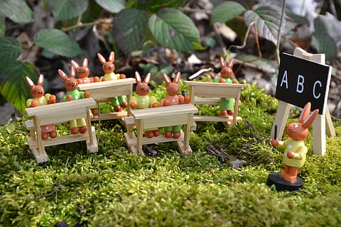 Hase, Osterhase, Ostern, Frühling, süß, Dekoration, Osterthema, Zahl, Nahansicht, deco-hase, Osterhasenschule, Schule, ABC, Wald, Moos, Grün, Text, westliche Schrift, Natur, Tag, Kommunikation, keine Leute, Pflanze, Essen und Trinken, Kerze, Lebensmittel, selektiver Fokus, Gras, draußen, gesundes Essen, Fülle, Frische, Gemüse, Nummer, Religion, große gruppe von gegenständen, 4K, CC0, gemeinfrei, lizenzfrei