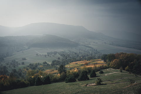 alberi verdi, albero, libro unsplash, unsplash, cielo, i phone, carta da parati android, sfondo, casa, sbalorditivo, vista, nebbioso, nebbia, foresta, buio, verde, autunno, scenics - natura, scena tranquilla, la tranquillità, bellezza nella natura, ambiente, paesaggio, montagna, pianta, natura, scena non urbana, nessuno, catena montuosa, giorno, terra, idilliaco, vista dall'alto, all'aperto, paesaggio ondulato, 5K, CC0, dominio pubblico, privo di copyright