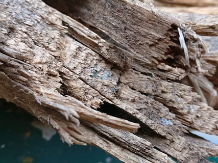 wood, tree, wood - material, close-up, textured, selective focus, focus on foreground, no people, rough, day, pattern, log, nature, timber, outdoors, brown, tree trunk, stack, detail, plant bark, nail, 4K, CC0, public domain, royalty free